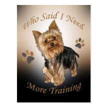 Formation des besoins de Yorkshire Terrier Cartes Postales