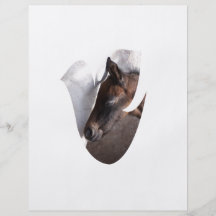 forme de colombe de poulain et de mère prospectus personnalisés