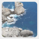 formentor adhésifs