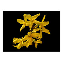 Forsythia ATC Business Card
