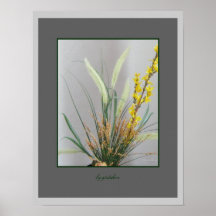 Forsythia Flower Bouquet 2,  1 4 10, w wtrmk, g... Posters