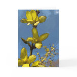 Forsythia Note Card