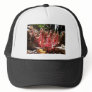 "Fort Meadow - Dawn" Hats