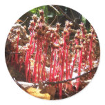 "Fort Meadow - Dawn" stickers