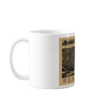 Fort Worth, Texas Birds Eye View 1886 Mug