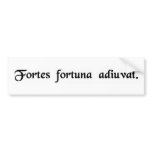 Fortune favors the bold. bumper sticker