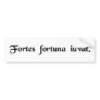 Fortune favours the brave. bumper sticker