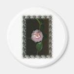 ForYou.jpg Fridge Magnets