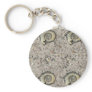 fossil background key chains