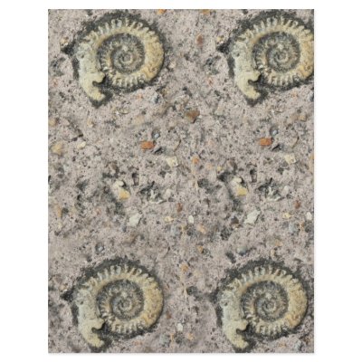 fossil background letterhead template by Ljrigg