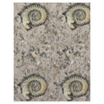fossil background letterhead