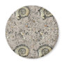 fossil background fridge magnets