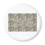 fossil background refrigerator magnets