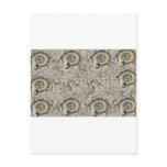 fossil background postcards