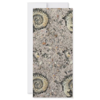 fossil background full color rack card by Ljrigg