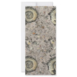 fossil background rack cards