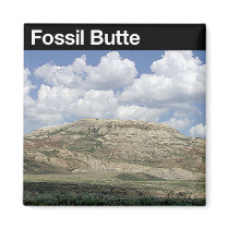 Fossil Butte National Monument magnets