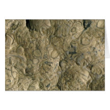 Fossil matrix, Mali, Africa Greeting Cards