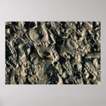 Fossil matrix, Mali, Africa Posters