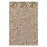 Fossil Stationery