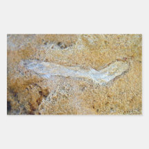 Fossil twig in limestone stickers