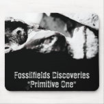 Fossilfields Discoveries Mouse Pad