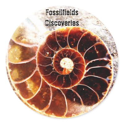 Fossilfields Discoveries Stickers by thefossilfields