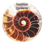 Fossilfields Discoveries Stickers