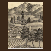 Fossville Res of Clark Foss, Knights Valley postcards