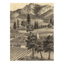 Fossville Res of Clark Foss, Knights Valley Postcard