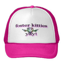 Foster kitties..yay! trucker hat
