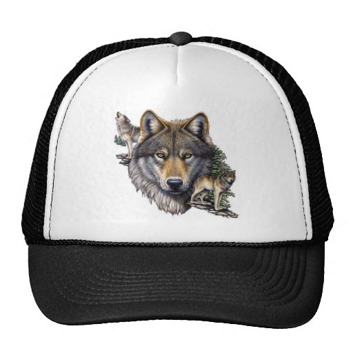 FOTC BRET WOLF HAT FLIGHT CONCHORDS HBO ANIMAL