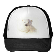FOTC POLAR BEAR CUB BRET HAT FLIGHT CONCHORDS HBO