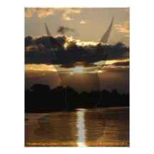 Foto Poster - Nature Love
