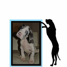 Fotoramen avec le dogue sauter photo en découpe