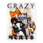 Fou pour la carte postale de chats
