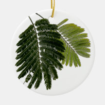 Fougères Leaved fines de relief Décorations De Noël