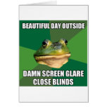Foul Bachelor Frog Beautiful Day