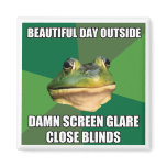 Foul Bachelor Frog Beautiful Day