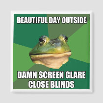 Foul Bachelor Frog Beautiful Day magnets
