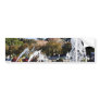 Fountain In Balbao Park San Diego Bumper Stickers