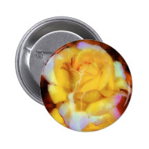 Fountain Of Youth Button