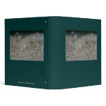 Fountain Spray 3 Ring Binders