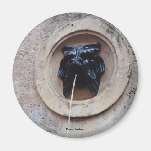 Fountaine de Mars Fridge Magnet