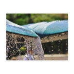 Fountains At The Birch Aquarium In La Jolla Postcard