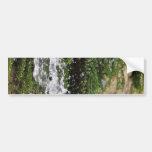 Fountains Water Spout Bumper Stickers