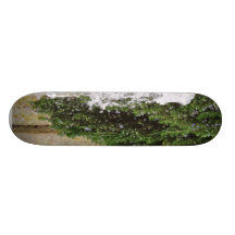 Fountains Water Spout Skate Board Deck
