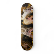 Four Baby Piglet Mangalitsa Hogs Showing Butts Skate Decks
