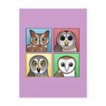 Four Colour Owls (pastel)