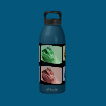 Four Colour Pop Art Fish water bottles
